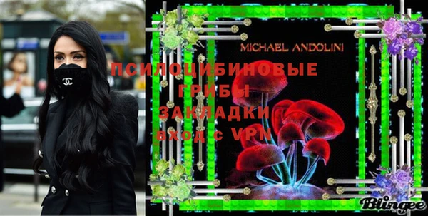 тгк Арсеньев