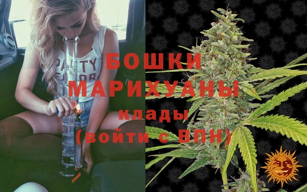тгк Арсеньев