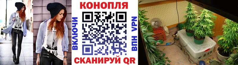 Бошки марихуана Ganja  Сычёвка 